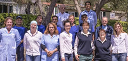 STAFF